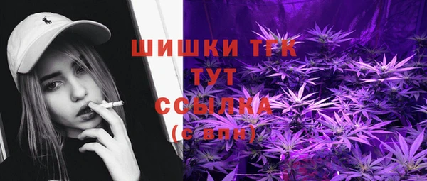 амф Белоозёрский