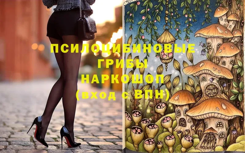 Галлюциногенные грибы Psilocybine cubensis  Кропоткин 