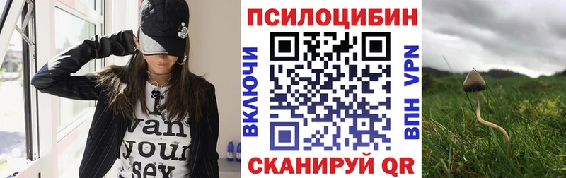 Псилоцибиновые грибы GOLDEN TEACHER  Кропоткин 