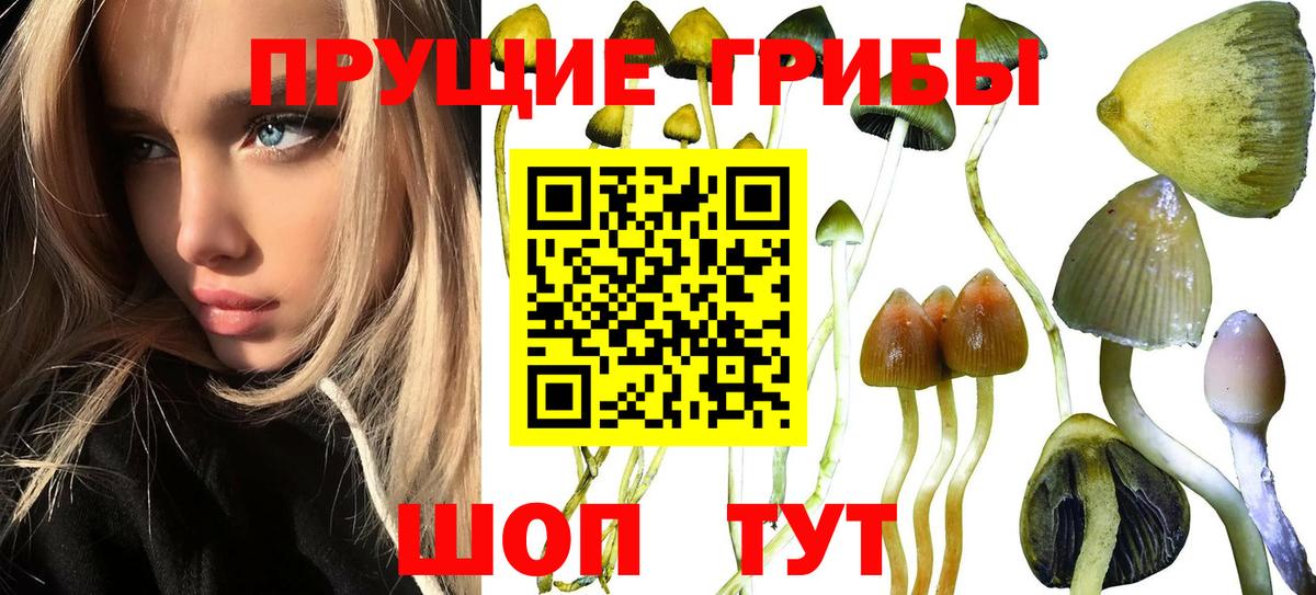 Псилоцибиновые грибы Magic Shrooms Кропоткин